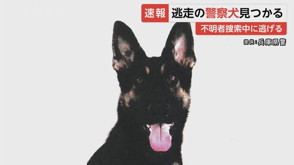 速報 逃走した警察犬 山中で 発見 木にリードがからまった状態