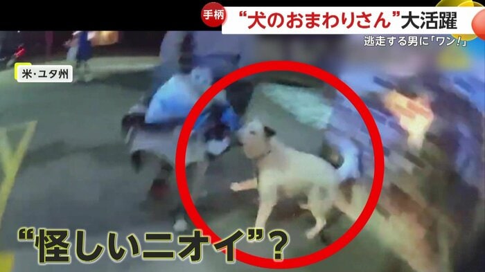 逃走する男にすかさずアタックした犬(Salt Lake City Police)