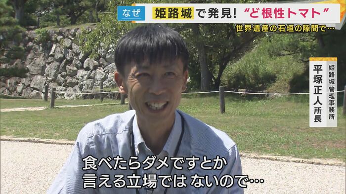 姫路城管理事務所 平塚正人所長