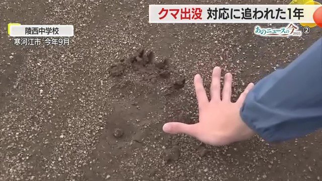 グラウンドにくっきり残った足跡。記者の手よりも大きく、爪痕もしっかり残っていた