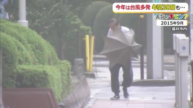 スーパーエルニーニョが発生し台風の影響を受けた2015年の福井市内