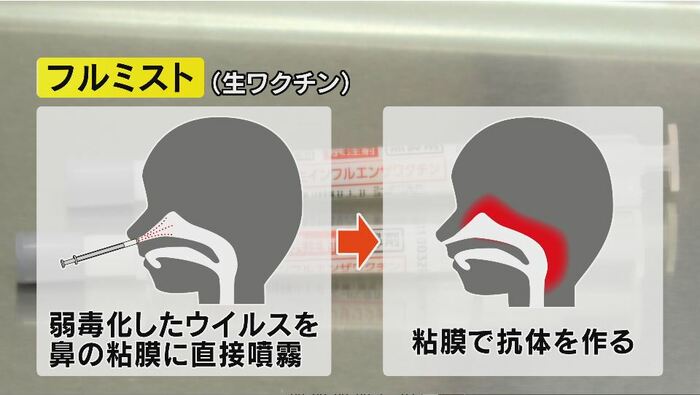 フルミストは鼻の粘膜に抗体を作る