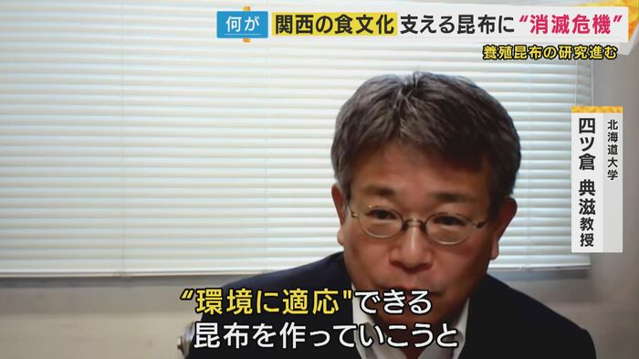 北海道大学・四ツ倉典滋教授