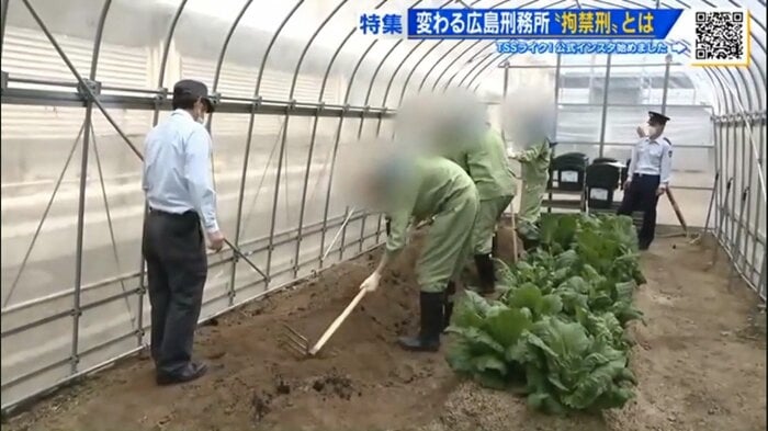 広島刑務所内に2024年に整備された農場
