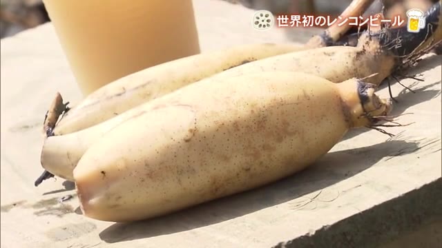 「ほのかに土の香りも」”世界初”レンコンビール 沖縄