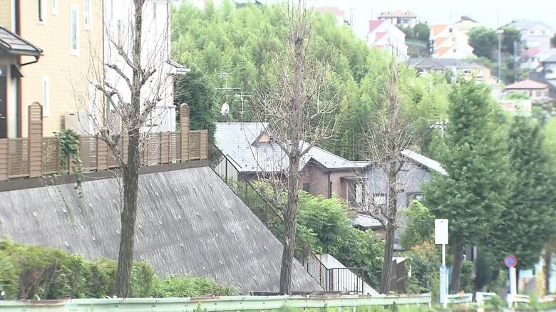 東京・町田市で街路樹のイチョウ54本が枯れる　まいた除草剤が根から広がったか　市「予測困難だった」｜FNNプライムオンライン