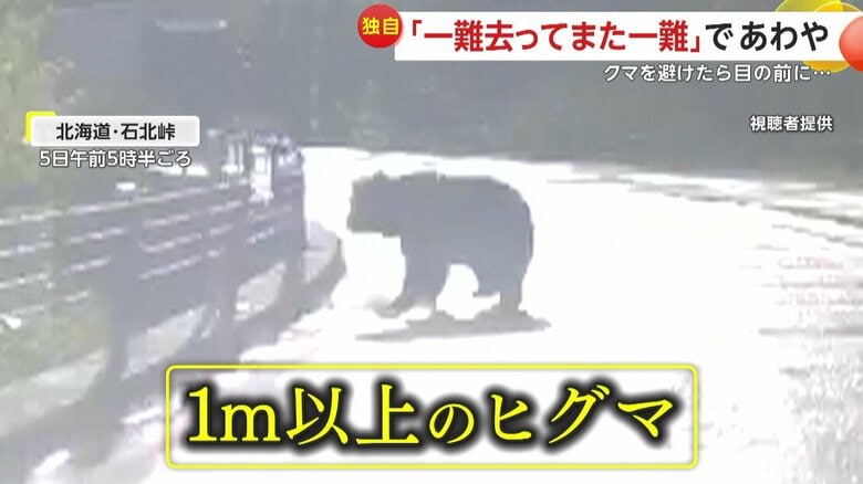【独自】「一難去ってまた一難」走行中にヒグマ飛び出し…避けたら目前にトラック！“間一髪回避”はエゾシカのおかげか　北海道・石北峠｜FNNプライムオンライン
