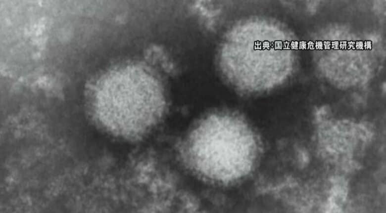 マダニ媒介の感染症「SFTS」今年の累計感染者数が135人で過去最多に｜FNNプライムオンライン