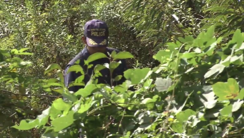 畑から人骨のようなものが見つかる　大阪・茨木市｜FNNプライムオンライン