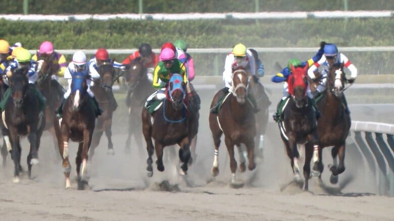 【3歳馬ダート重賞レパードS・G3】 飛躍の2年目・田山旺佑騎手 ショウナンバンライで待望の重賞初制覇なるか|FNNプライムオンライン