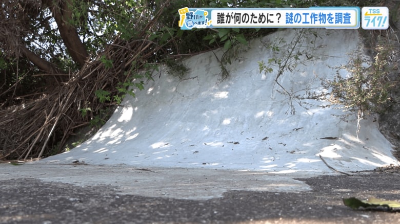 【目的・設置者不明】芦田川に高さ1メートルの謎のコンクリート工作物 野川アナが再調査!税金で撤去も…【広島発】|FNNプライムオンライン