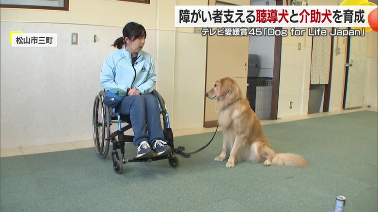 「犬と歩む人生をあなたへ」中四国・九州エリアで唯一「介助犬・聴導犬」の育成に取り組む団体【愛媛発】&lt;br /&gt;｜FNNプライムオンライン