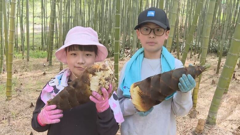 生育順調！長野・豊丘村で「タケノコ狩り」始まる　5月6日まで受け入れ｜FNNプライムオンライン