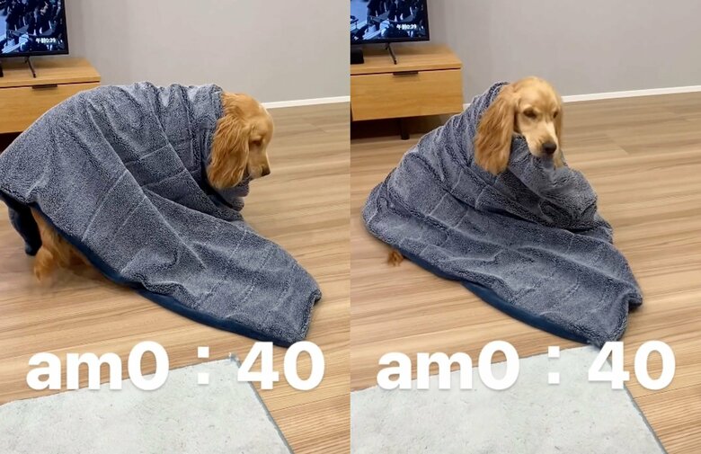 提供：関口和也さん