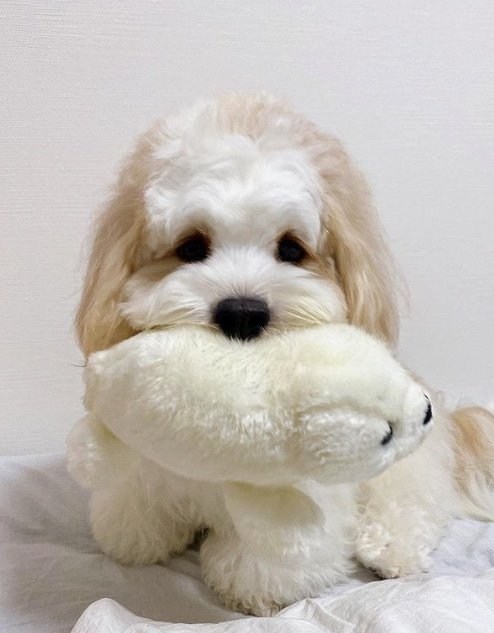 提供：宮原幸恵さん