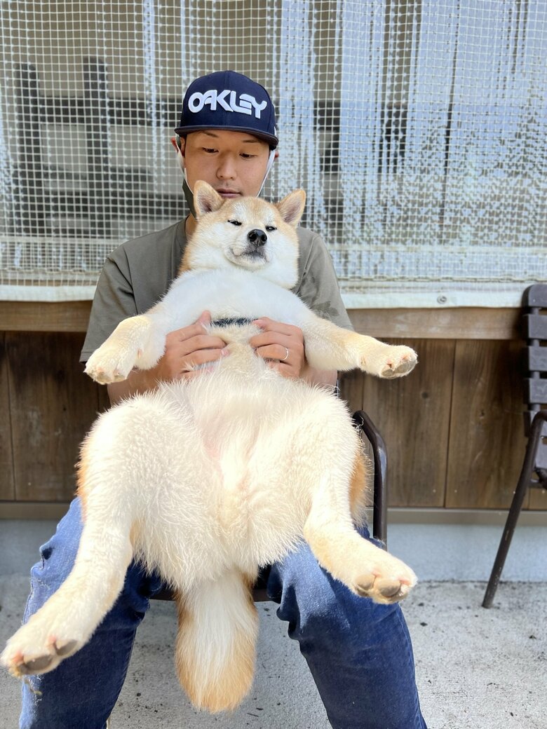 提供：柴リアンハスキーもちごめ兄弟さん