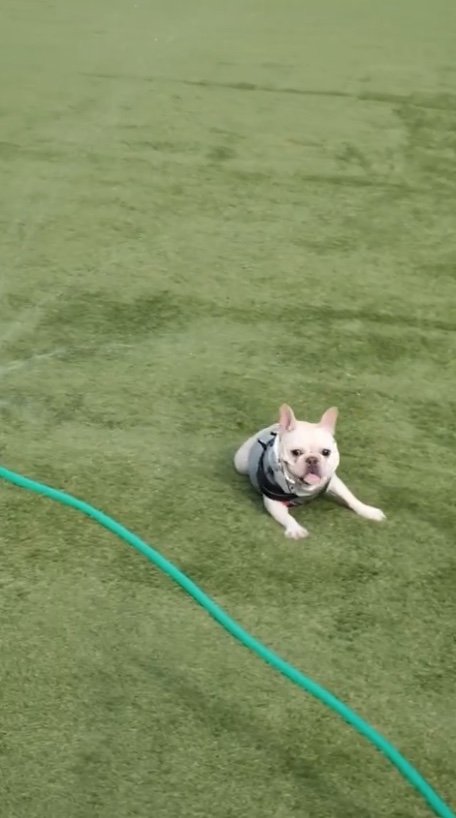 提供：むぎさん