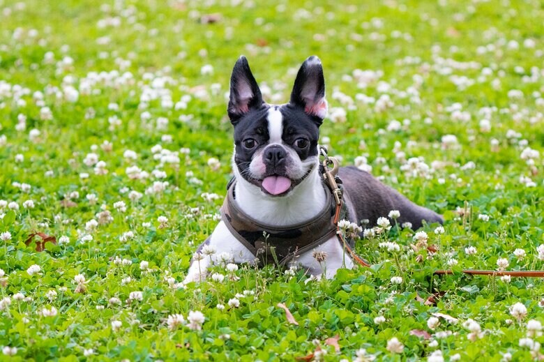 画像はイメージです