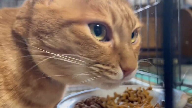 バズったことを報告したときの表情