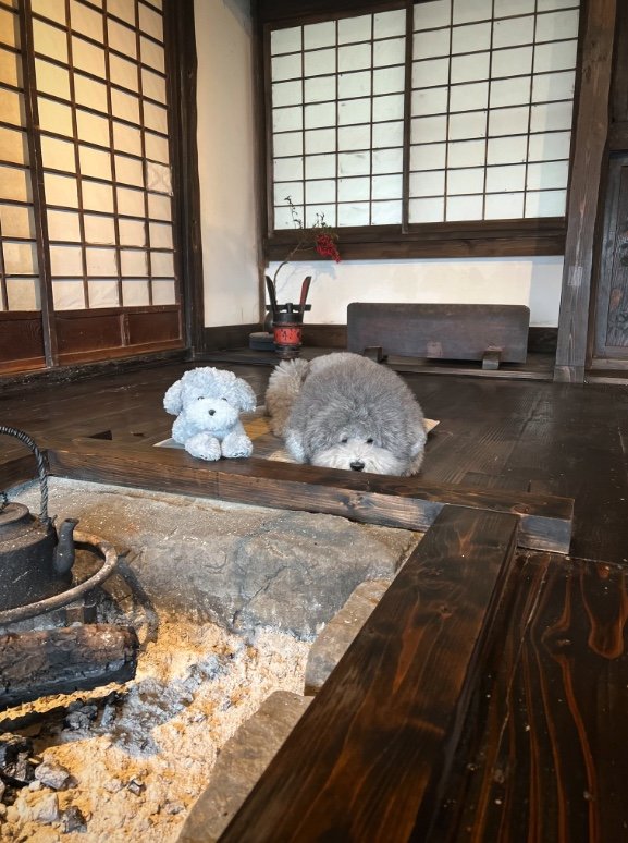 提供：レノン&れあるさん