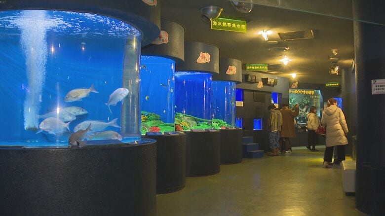 寺泊水族博物館