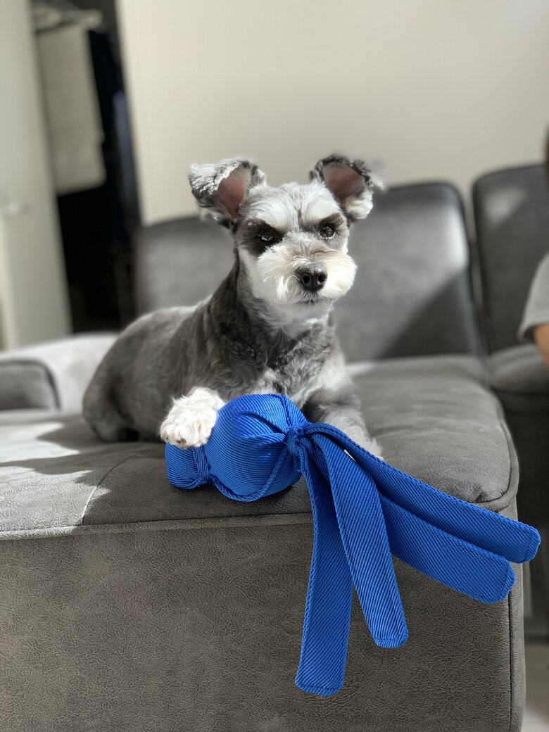 提供：くぅさん