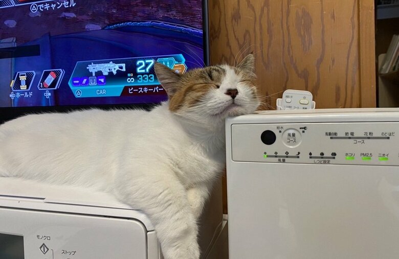 空気洗浄機の上にアゴを乗せて寝ている