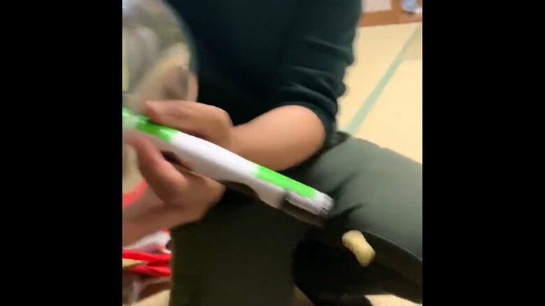 取りだすまでの流れ、その4。出てきた！