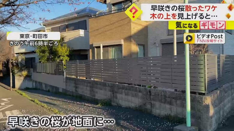 東京・町田市で21日に撮影された映像