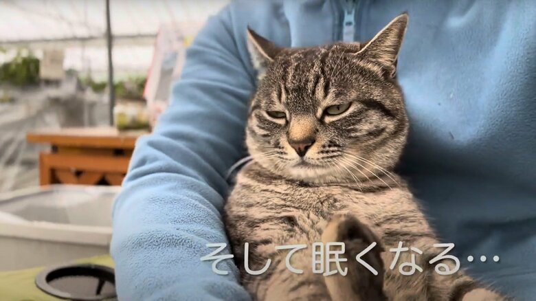 コタローくんの日常（3）