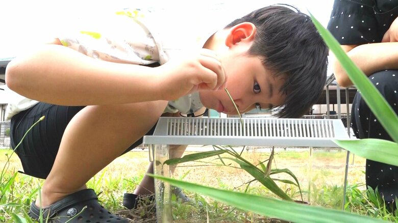 昆虫が大好きだという大森さん