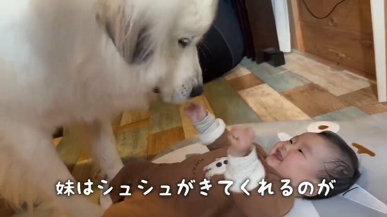 シュシュちゃんがそばにいると嬉しい娘さん