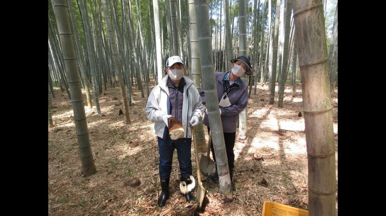 タケノコ掘りを楽しまれた天皇陛下と皇后さま（宮内庁提供）