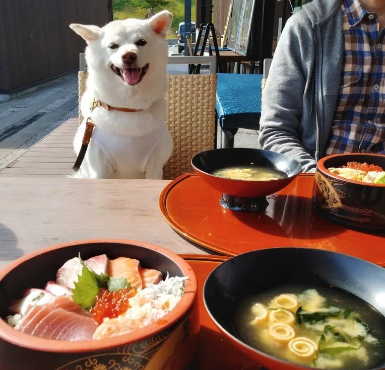 提供： kinako_kinakoさん