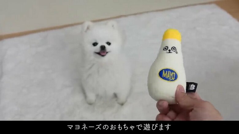 マヨネーズのオモチャで遊ぶ