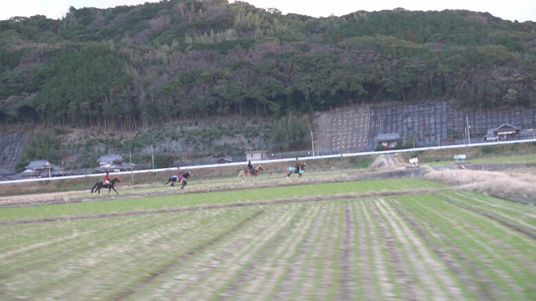畦道を失踪（宗像市内）