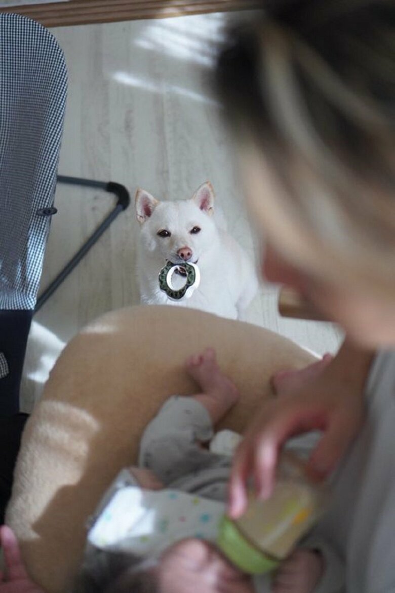 順番待ち中のまめたちゃん