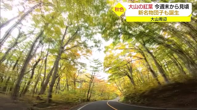 紅葉のトンネルをくぐり抜けて・・・絶景を堪能!大山で紅葉の見ごろピーク 感動の週末へ(鳥取県)