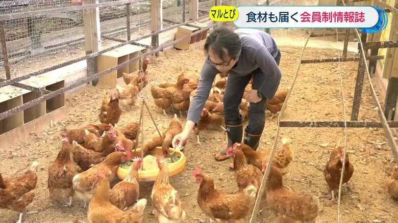 松本養鶏場　長崎県西海市