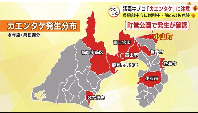 静岡県で2022年度に確認された市町