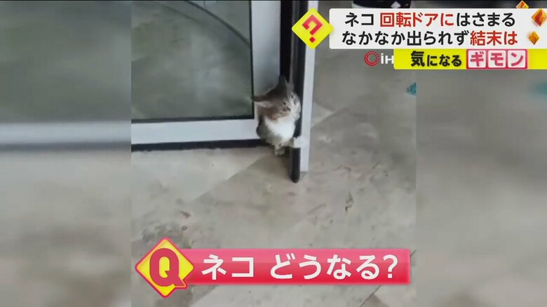 回転ドアのすき間から必死に出ようとしているネコ