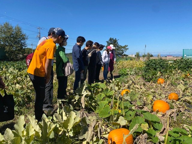 庭園の土壌は自然の力で豊かになる