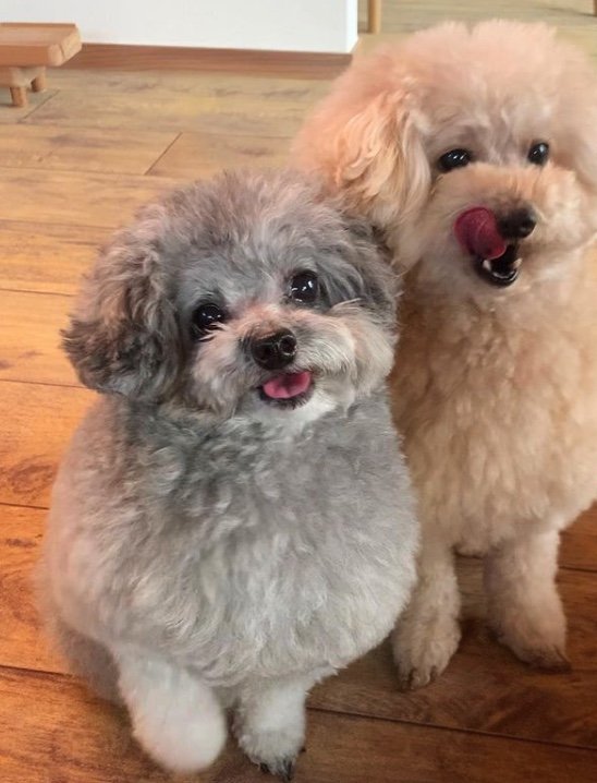 提供：＠tsuru_323さん