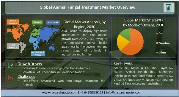 動物用真菌治療市場ー薬物タイプ別(グリセオフルビン、ケトコナゾール、イトラコナゾール、フルコナゾール、テルビナフィン、その他)、および剤形別-世界の需要分析と機会の見通し2030年