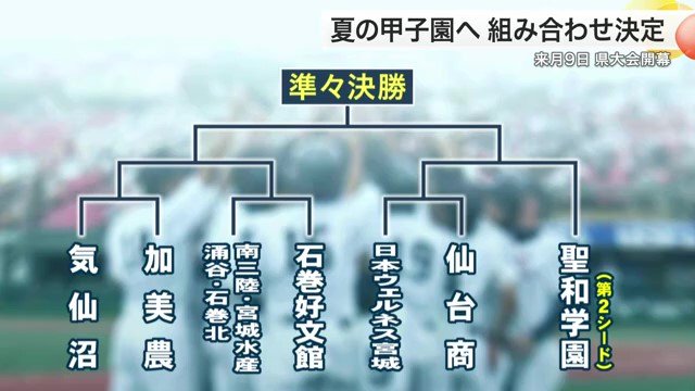 宮城県大会トーナメント表（8）