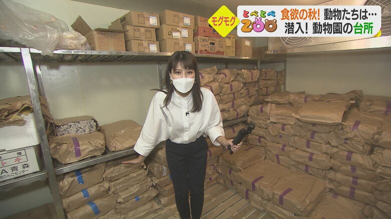 冷凍庫の中は-20度