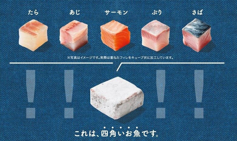 キューブ状にした魚だという