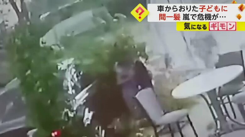 木の枝が子供に直撃した