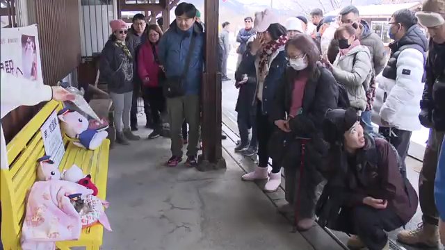 さくらに会いに来る観光客も