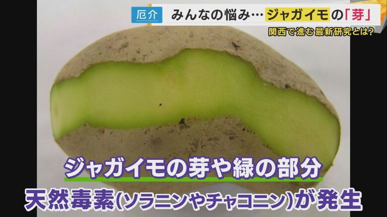 天然毒素であるソラニンやチャコニンが発生